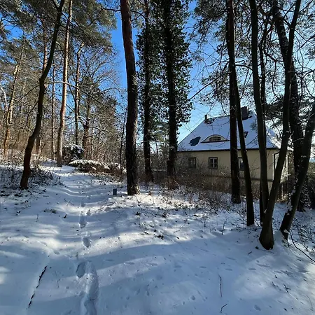 Daire Auf Dem Kolberg